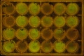 Thumbnail for version as of 12:22, 26 January 2014