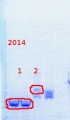 Thumbnail for version as of 15:51, 25 February 2014