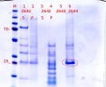 Thumbnail for version as of 21:15, 2 January 2020