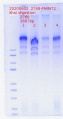 Thumbnail for version as of 16:54, 2 June 2020