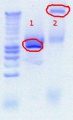 Thumbnail for version as of 13:04, 18 July 2012