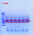 Thumbnail for version as of 14:48, 6 February 2013