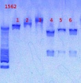 Thumbnail for version as of 15:19, 4 February 2013