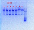 Thumbnail for version as of 10:37, 15 January 2014