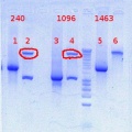 Thumbnail for version as of 16:31, 20 November 2012
