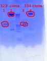 Thumbnail for version as of 15:06, 30 January 2012