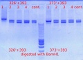 Thumbnail for version as of 16:16, 5 January 2012