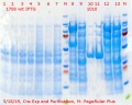 Thumbnail for version as of 23:19, 18 May 2019