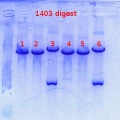 Thumbnail for version as of 13:50, 27 September 2012