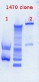 Thumbnail for version as of 13:43, 20 December 2012