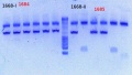Thumbnail for version as of 16:51, 22 February 2013