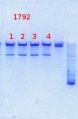 Thumbnail for version as of 14:37, 15 August 2013