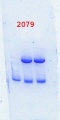 Thumbnail for version as of 15:01, 21 February 2014