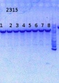 Thumbnail for version as of 12:57, 11 September 2014
