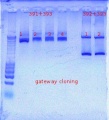 Thumbnail for version as of 15:02, 20 October 2011
