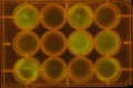 Thumbnail for version as of 15:18, 16 November 2011