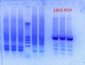Thumbnail for version as of 13:42, 5 April 2012