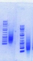 Thumbnail for version as of 16:53, 20 June 2012