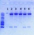 Thumbnail for version as of 16:57, 12 June 2012