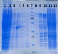 Thumbnail for version as of 11:22, 17 December 2014