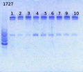 Thumbnail for version as of 14:02, 16 May 2013