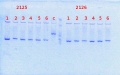 Thumbnail for version as of 10:39, 28 March 2014