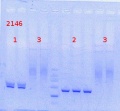 Thumbnail for version as of 13:52, 17 April 2014