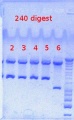 Thumbnail for version as of 15:18, 28 November 2012