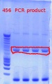 Thumbnail for version as of 15:39, 10 November 2011