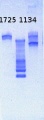 Thumbnail for version as of 14:47, 8 April 2013