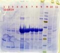 Thumbnail for version as of 13:06, 20 December 2019