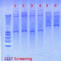 Thumbnail for version as of 15:30, 6 August 2012