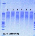 Thumbnail for version as of 15:44, 6 August 2012