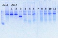 Thumbnail for version as of 15:23, 14 February 2014