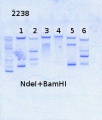 Thumbnail for version as of 16:52, 28 July 2014