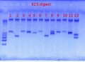 Thumbnail for version as of 15:52, 16 March 2012