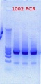Thumbnail for version as of 16:55, 15 February 2012