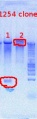 Thumbnail for version as of 14:43, 17 July 2012
