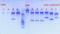 Thumbnail for version as of 15:51, 30 January 2013