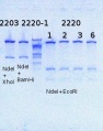 Thumbnail for version as of 14:48, 23 May 2014