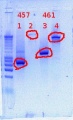 Thumbnail for version as of 14:02, 29 November 2011