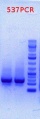 Thumbnail for version as of 09:54, 10 May 2012