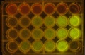 Thumbnail for version as of 15:54, 28 September 2014