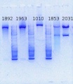 Thumbnail for version as of 15:27, 17 January 2014
