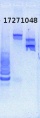 Thumbnail for version as of 15:35, 16 May 2013