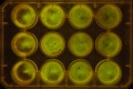 Thumbnail for version as of 10:32, 12 January 2012