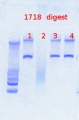 Thumbnail for version as of 12:48, 12 April 2013