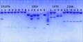 Thumbnail for version as of 14:14, 8 August 2014