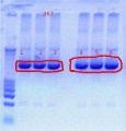 Thumbnail for version as of 14:51, 18 October 2011