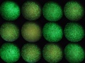 Thumbnail for version as of 15:04, 16 November 2011